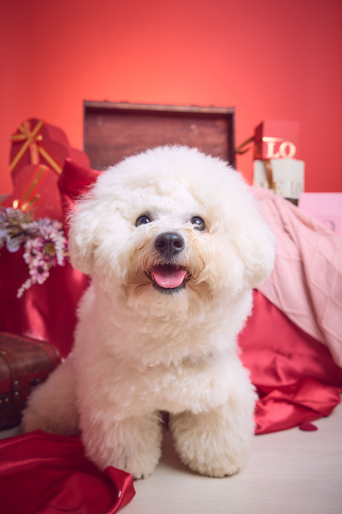 アニマルコミュニケーション